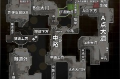 赛程预告：太平洋赛区季后赛明日开打，RRQ迎战TLN